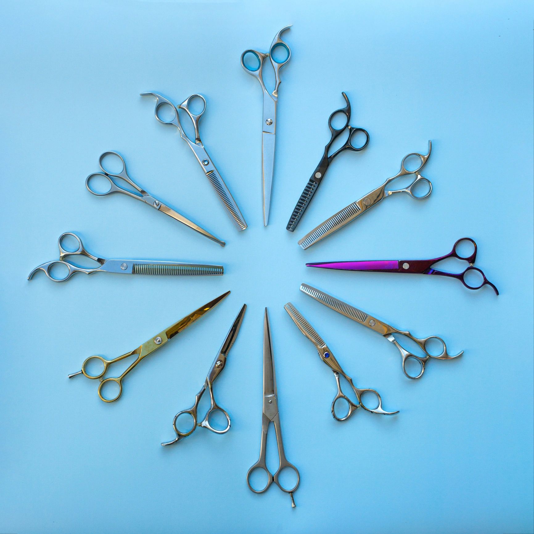 Professional pet grooming scissors
