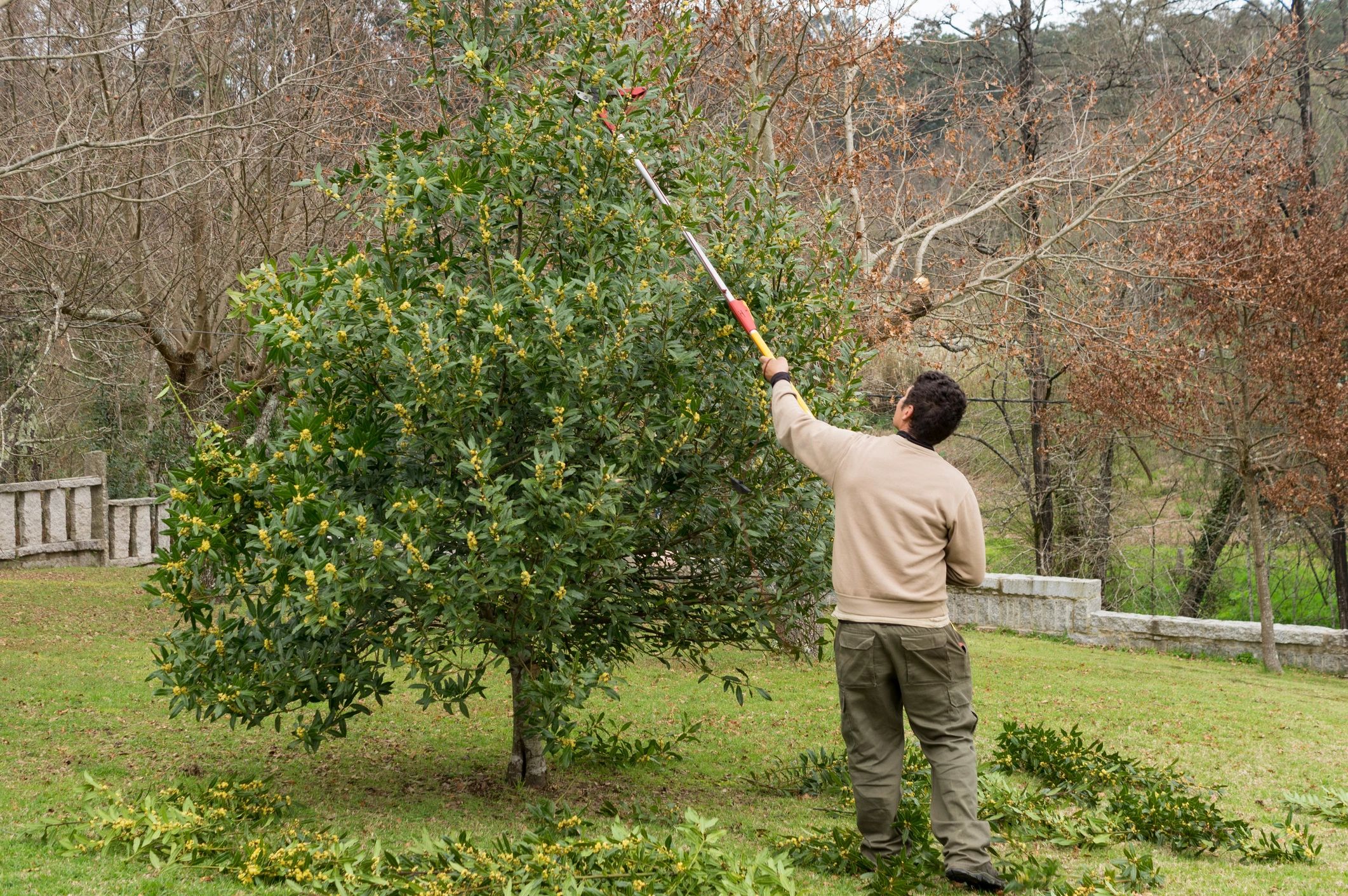 Landscaper using a pole pruner in a garden