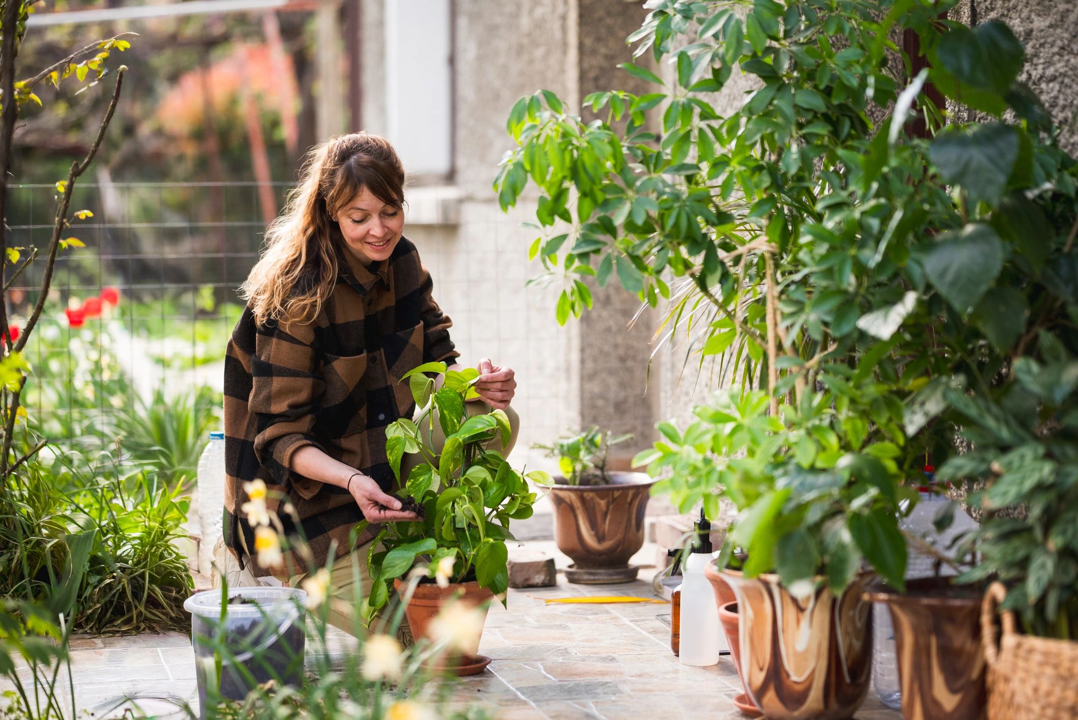 Florist tending plants and greenery in a workshop