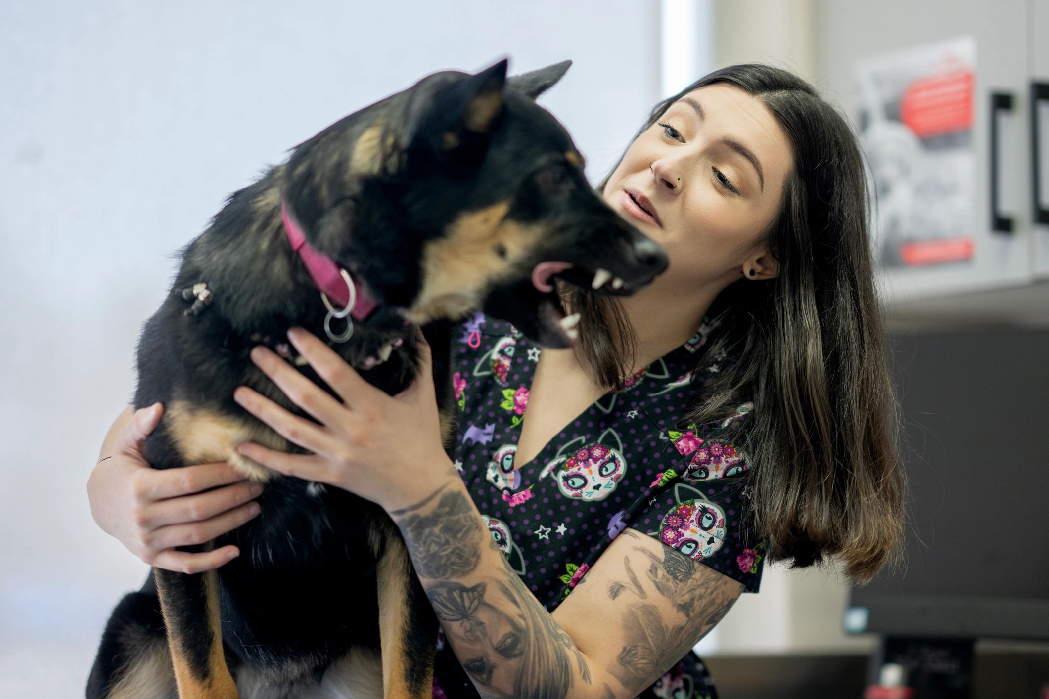 Veterinary technician caring for a dog in a clinic