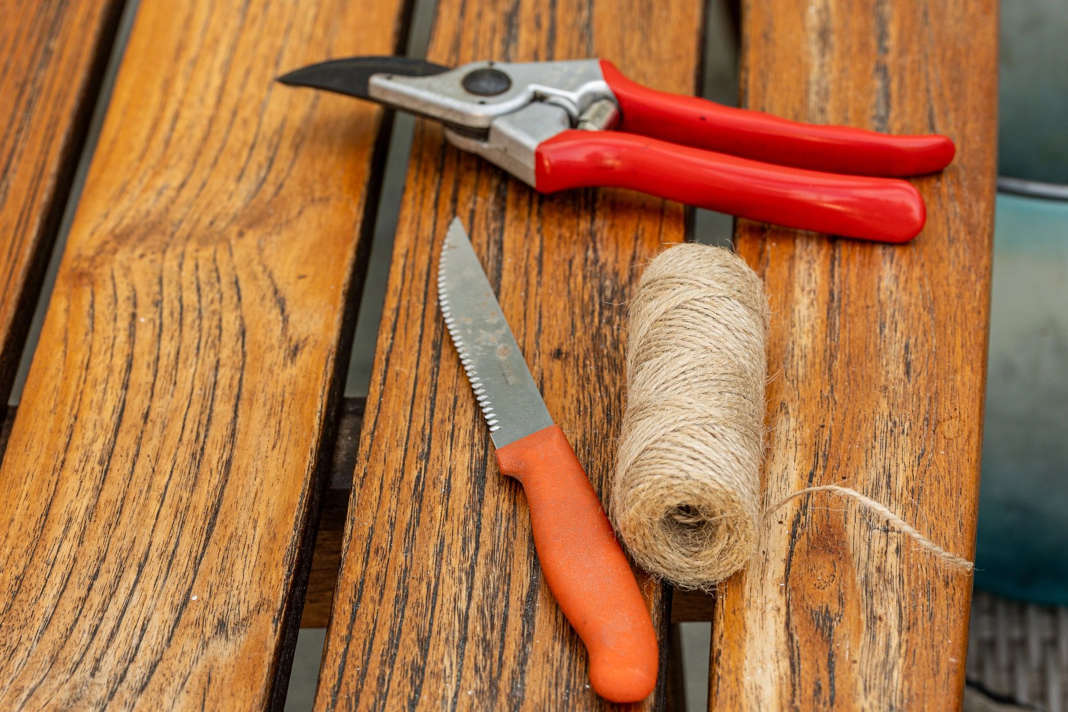 Garden pruning tools ready for professional sharpening