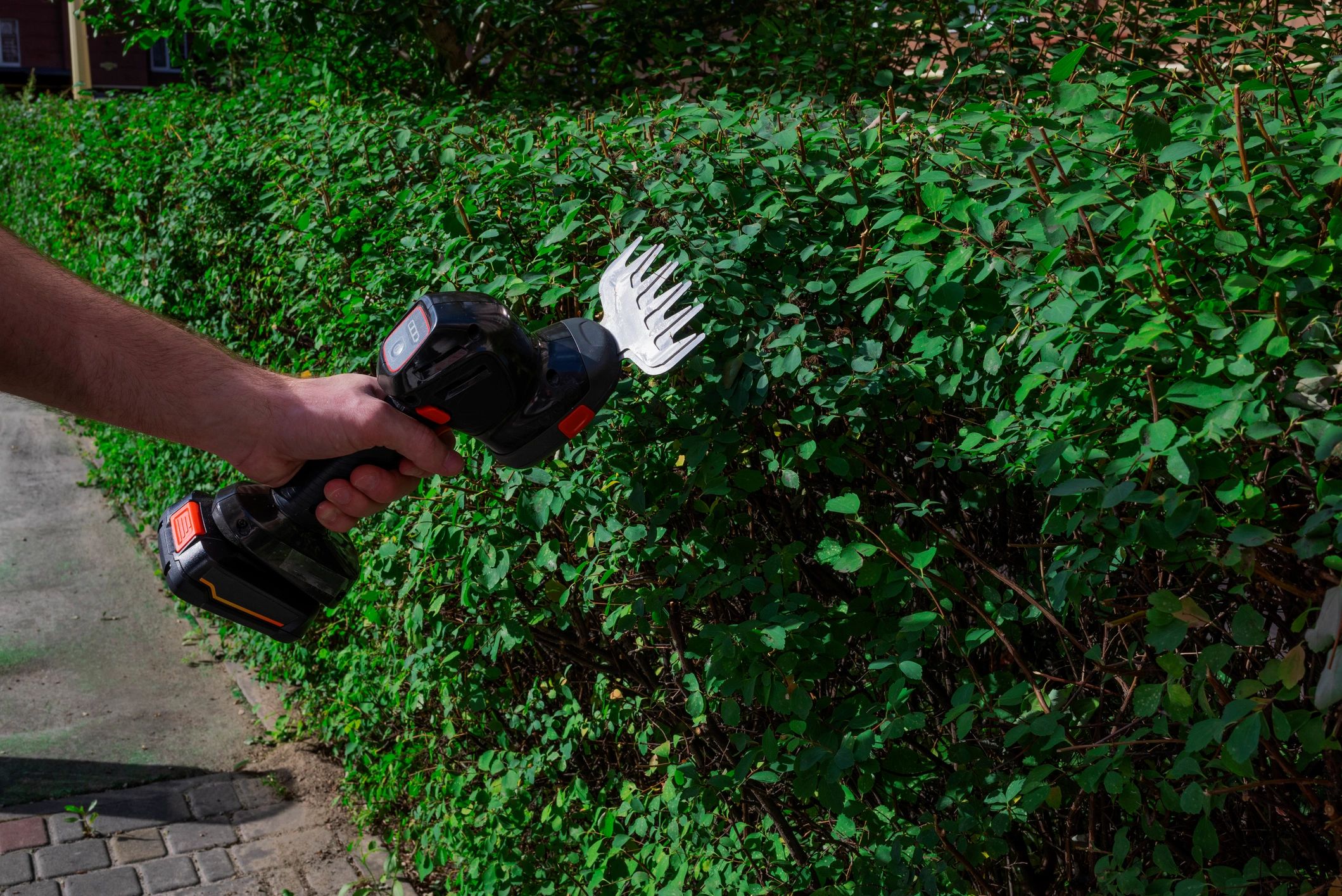 Professional landscaping tool ready for maintenance